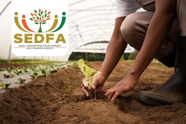 SEDFA Eastern Cape Offers Free Business Performance Improvement 