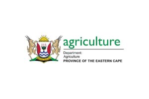 Eastern Cape Agriculture Seeks Security Provider for Qamata Workshop