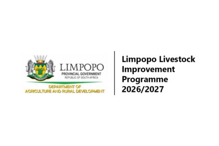 Limpopo Livestock Improvement Programme 2026/27 | Apply Now